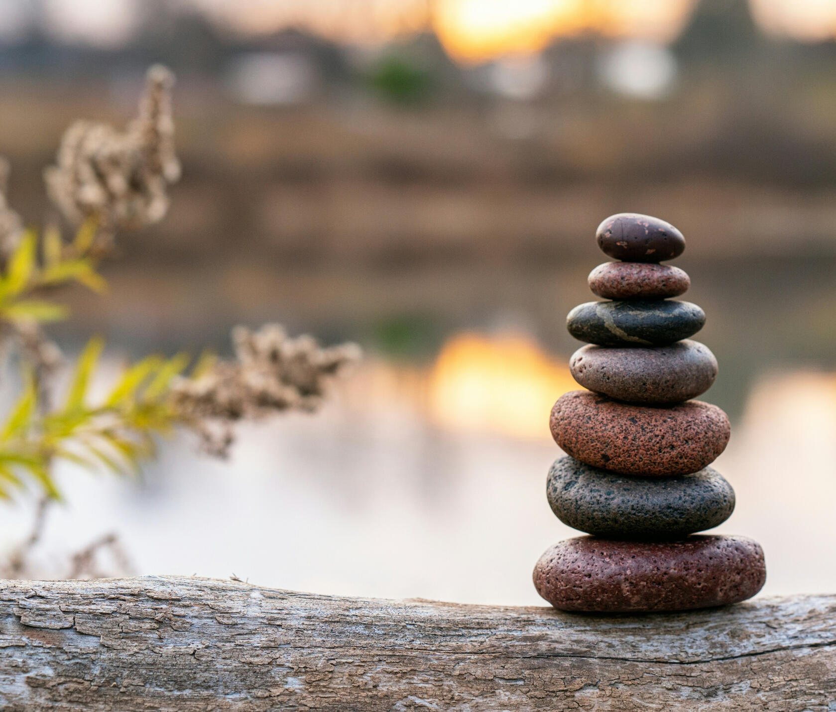 Foto di Brad Switzer su Unsplash